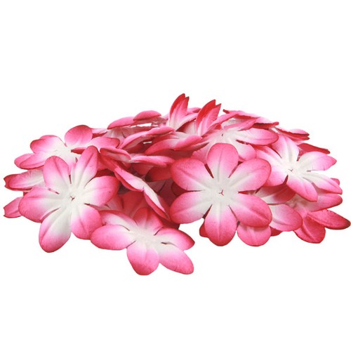 Cerise and white - cerise,