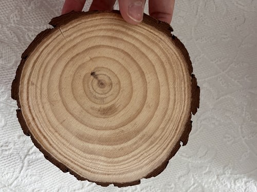 13cm wood log slices - 13cm,