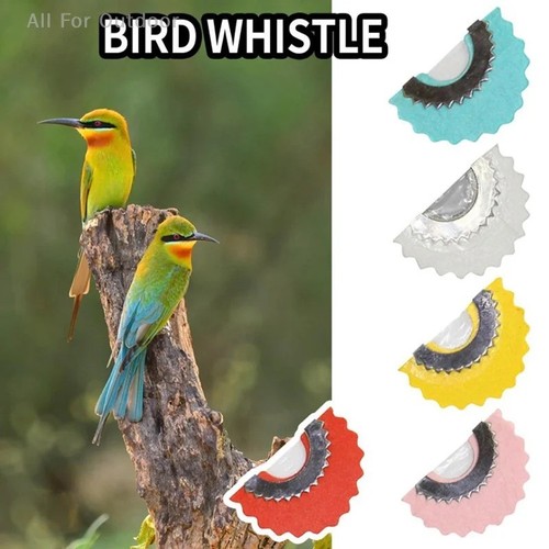 Bird whistle magic fun - bird,