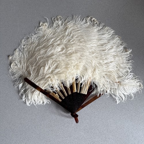 Ostrich feather folding hand - feather,
