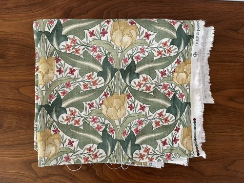 Baker tulip jasmine - gp, j