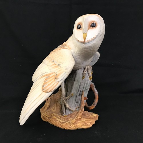 The barn owl - barn, franklin