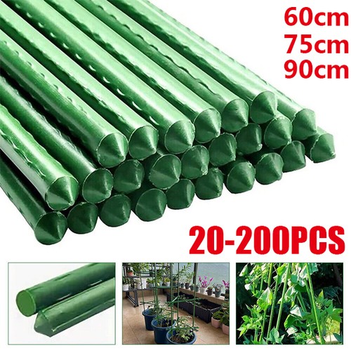 Garden canes plastic - garden,