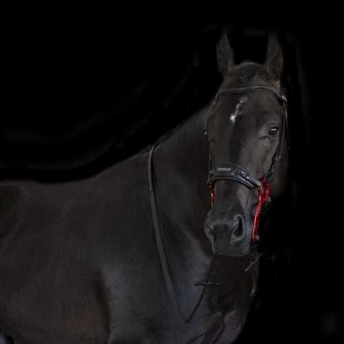 Acavallo leather noseband - leather,