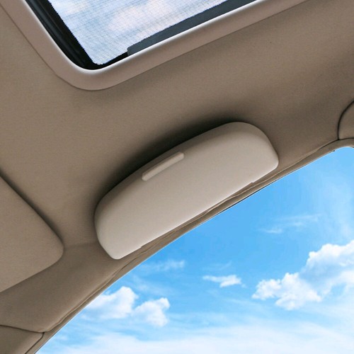 Car sunglasses storage - sunglasses,