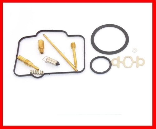 Carburetor repair kit - repair, for