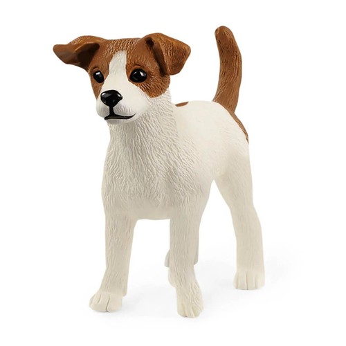 Jack russell terrier dog - russell,