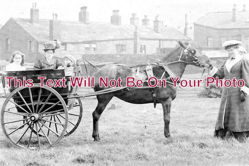 12744 elland horse - elland,