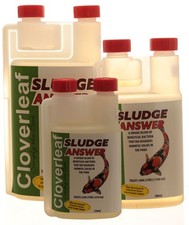 Cloverleaf Sludge Answer