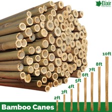 Strong Heavy Duty Professional Bamboo Plant Support Garden Canes | 2ft - 10ft