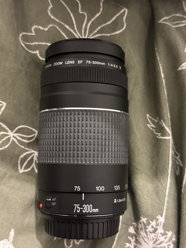 Canon 300mm 9ft 1 - 75-300mm, 1.5m