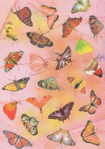 Coloured vellum paper - a4,