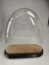  Large Glass Dome with Wood