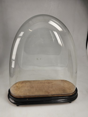Large glass dome with - large,