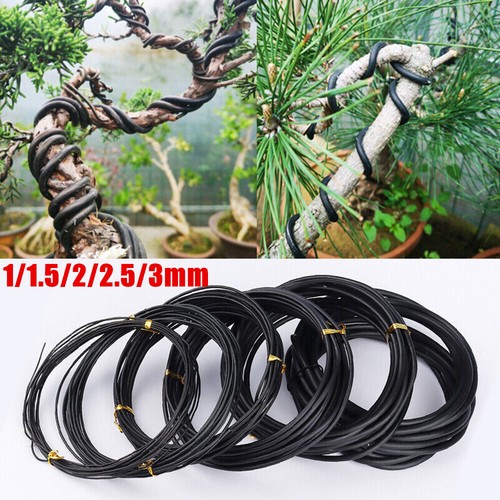 5 3mm bonsai wire - bonsai,