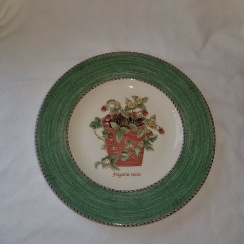 Wedgwood sarah gardens - sarah's,