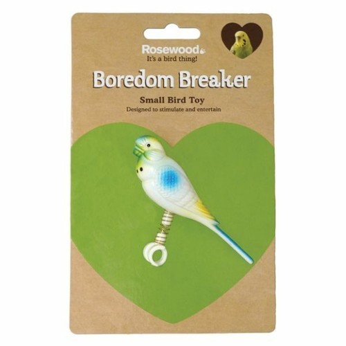 Rosewood budgie spring bird - spring,