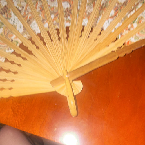 Vintage folding hand fan - vintage,