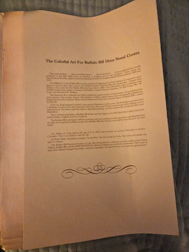 Buffalo bill dime novel - novel, cover