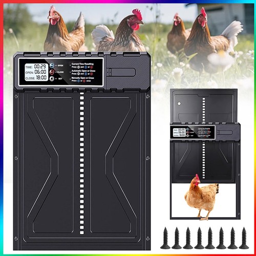 Automatic chicken duck goose - automatic,