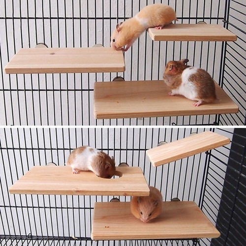 Wooden bird parrot cage - wooden,