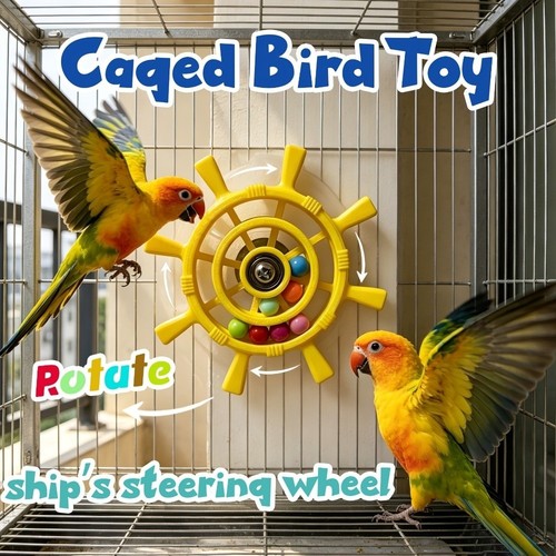 Small birds colorful - small,
