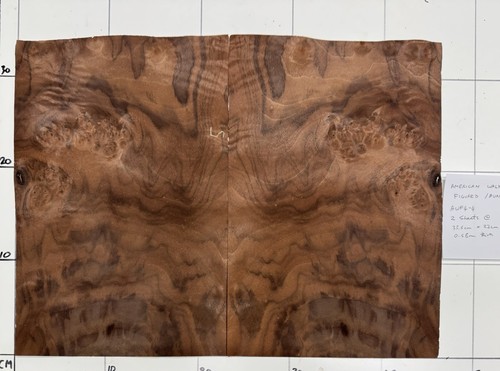 American walnut figured real - walnut,