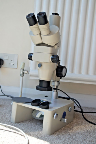 Nikon smz trinocular stereo - nikon, smz-2t