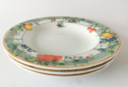 Wedgwood eden rimmed bowls - wedgwood,