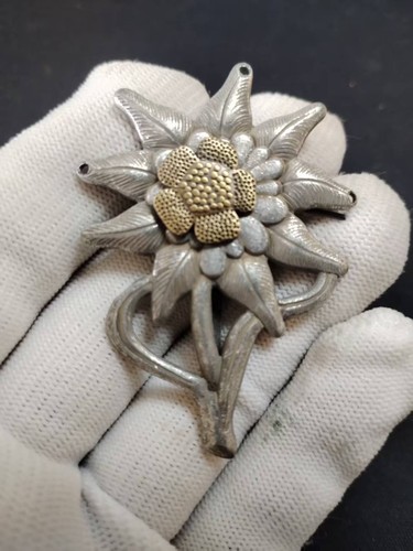 Wwii german army edelweiss - army,