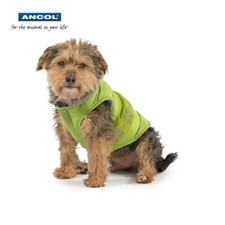 Ancol Muddy Paws Nodic Dog