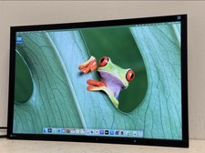 EIZO FlexScan 24" Full HD LED IPS Monitor - Black (EV2436W) -No Stand