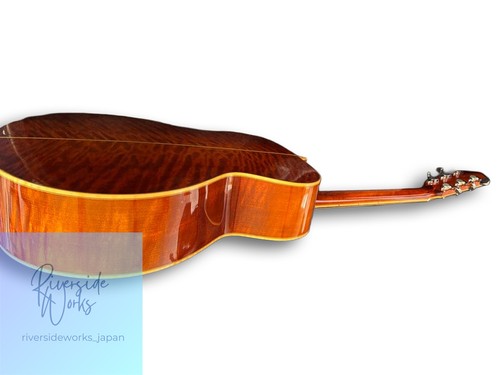 Eastman all solid wood model - solid,