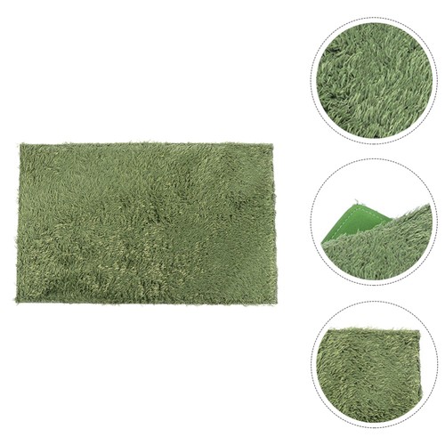 Leopard gecko carpet - leopard, mat