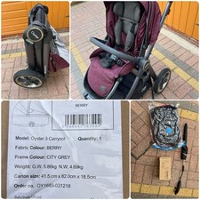 Oyster 3 Berry Purple