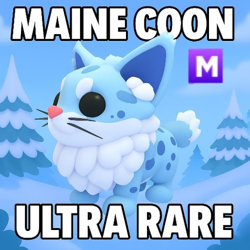 Mega neon maine - maine, coon