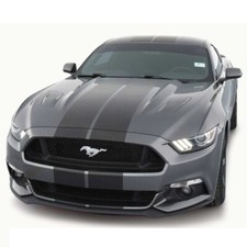 Racing Stripe 10" x 72"  Truck