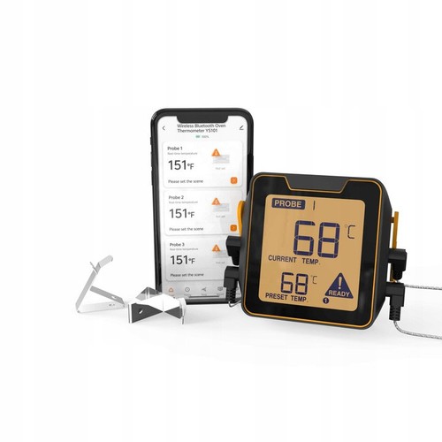 Thermometer with probes - thermometer,