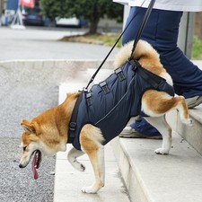 Adjustable Lifting Straps Dog
