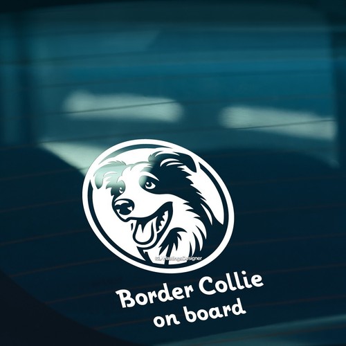 Border collie board dog - collie, car