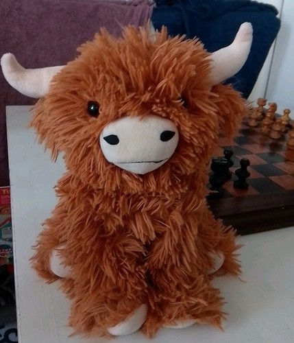 Highland cow plush toy - toy, 30cm