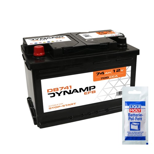 Dynamp 096r efb car - dynamp,