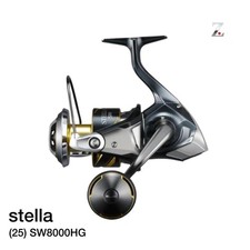 Shimano STELLA 25 SW 8000HG Spinning Reel from Japan Made in Japan (M09)