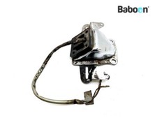 Rear Fender License Holder