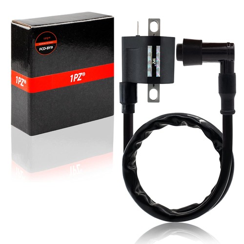P80 cw1 ignition - p80-cw1,