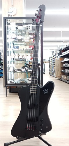 Epiphone electric bass - electric,