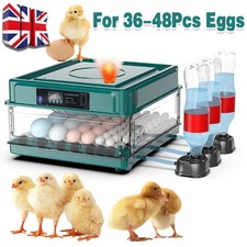 Incubators for Hatching Eggs