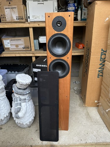 Tannoy revolution floor - revolution, r3