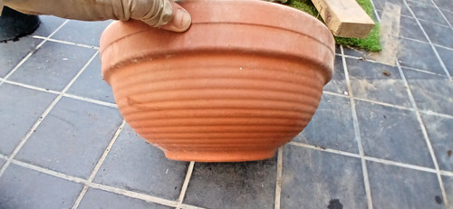 30cm vintage heavy - 12",