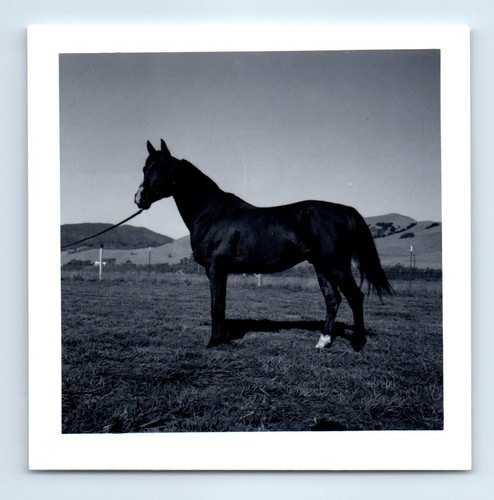 Old vintage square - square, photo